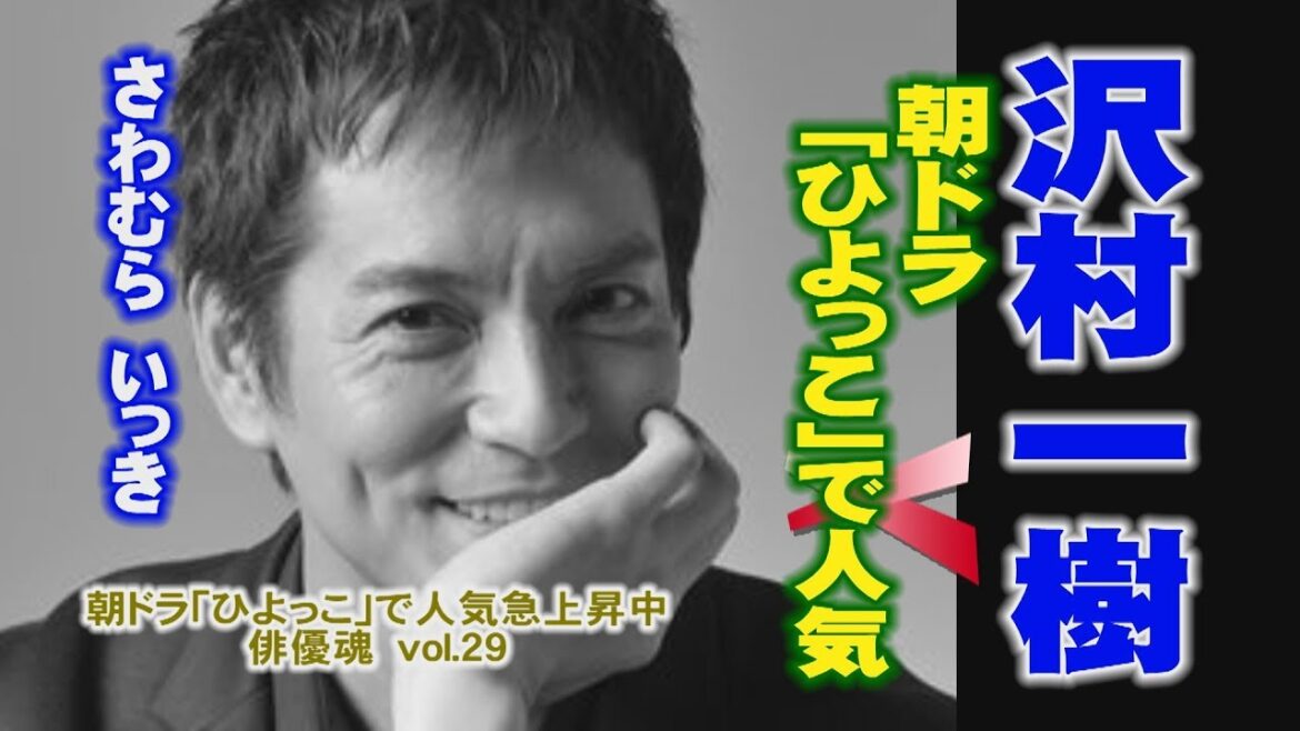 俳優魂　vol.29　沢村 一樹　ikki sawamura 朝ドラ「ひよっこ」で人気